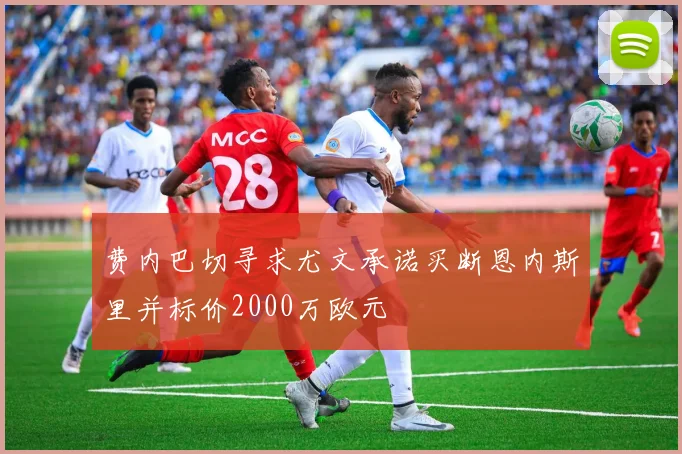 费内巴切寻求尤文承诺买断恩内斯里并标价2000万欧元