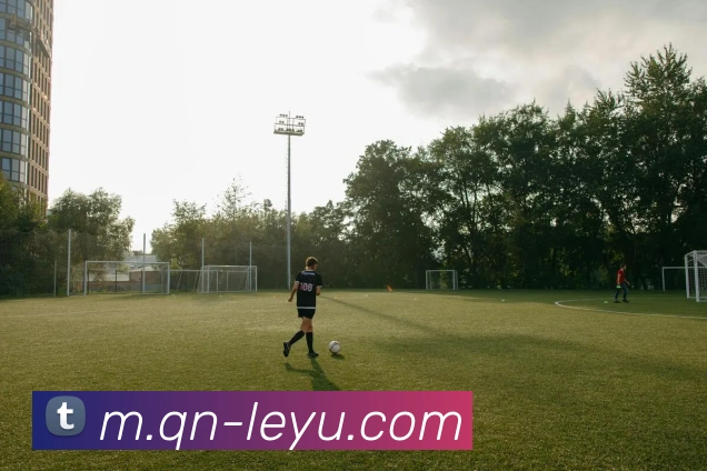 乐鱼体育APP 高清赛事图